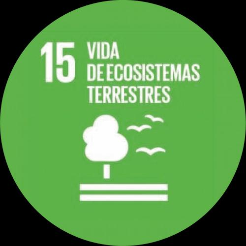 ODS 15 - Vida de ecosistemas terrestres