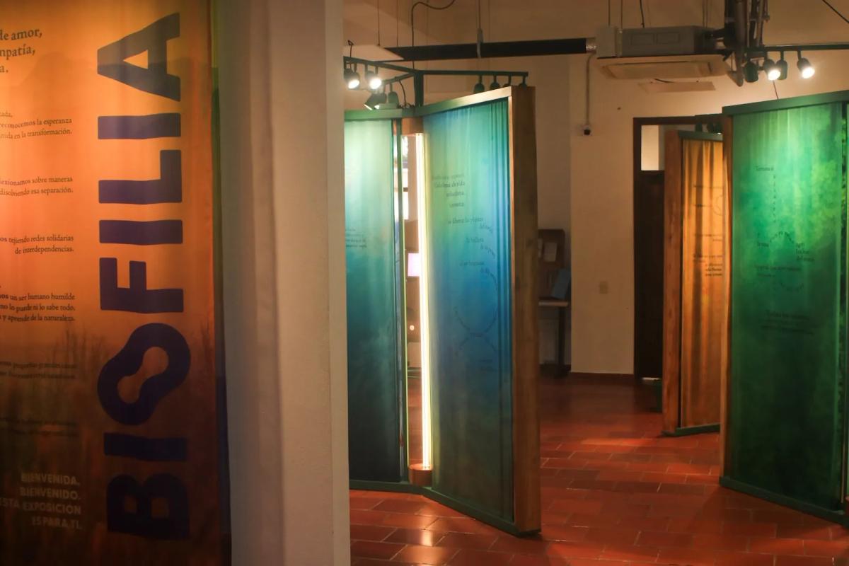 hero background image