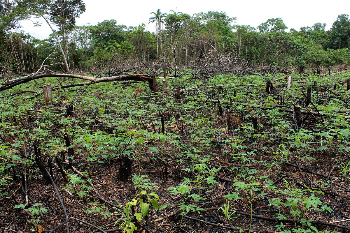 hero background image