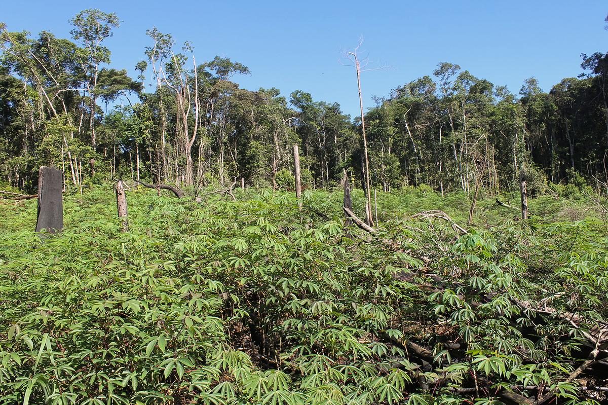 hero background image