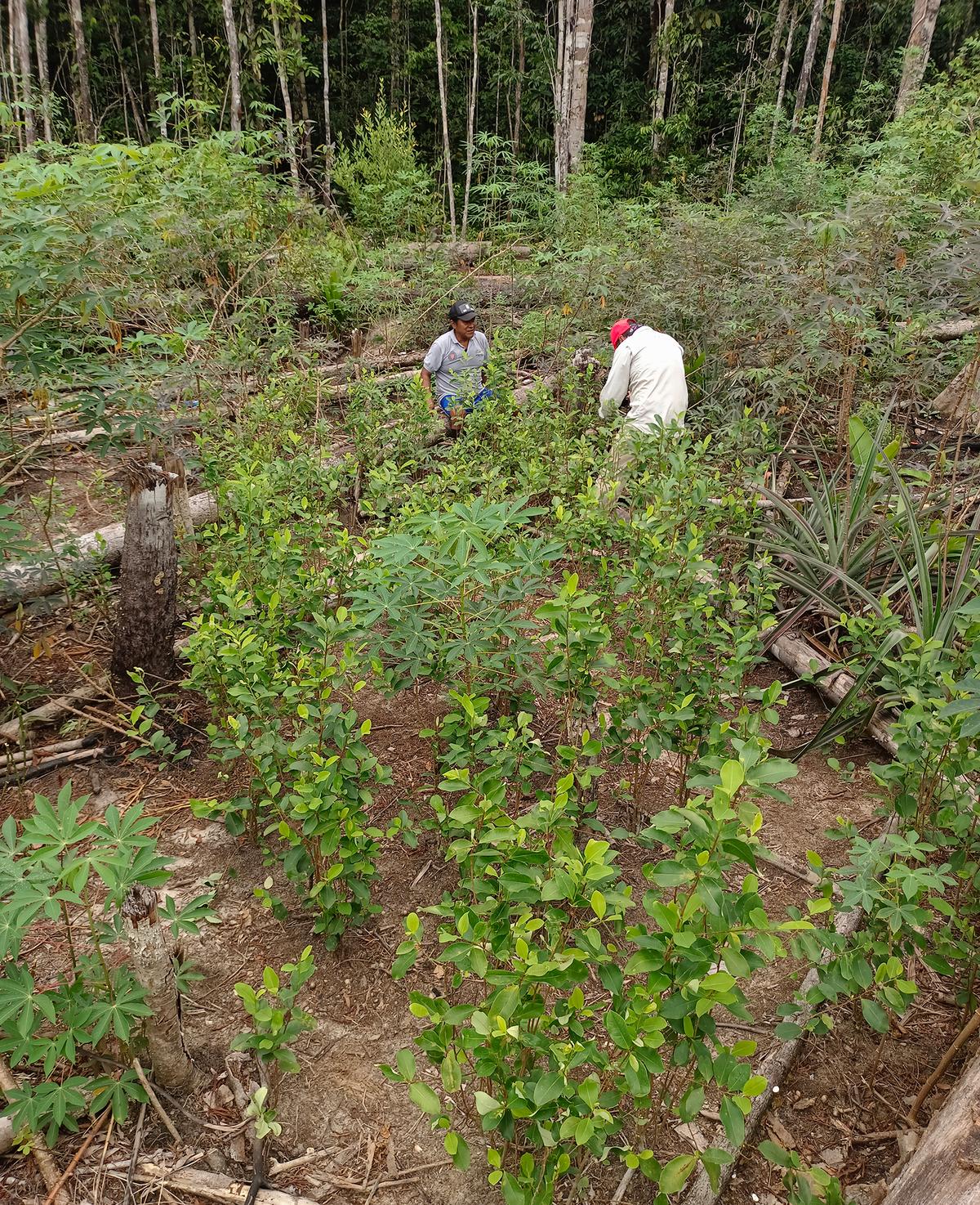 hero background image