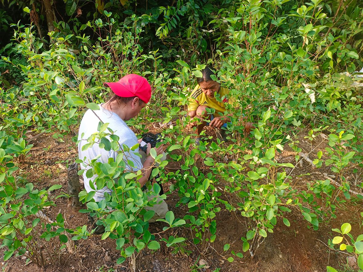 hero background image