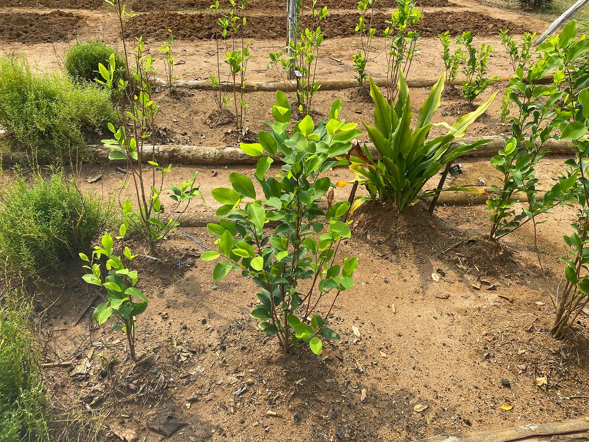 hero background image