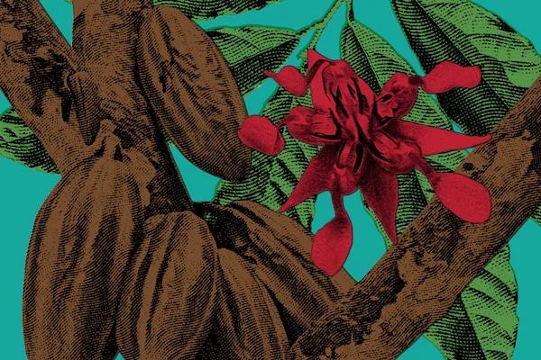 hero background image