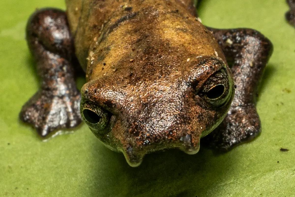 hero background image