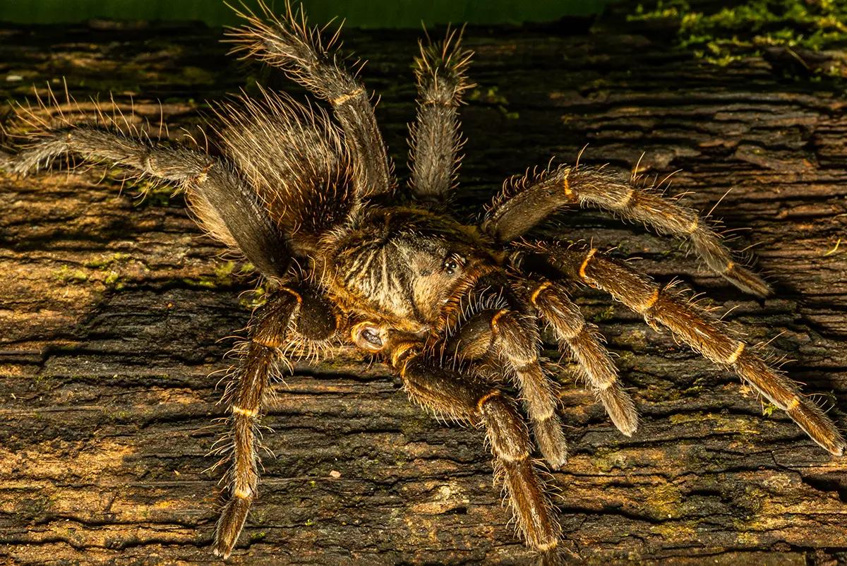 hero background image