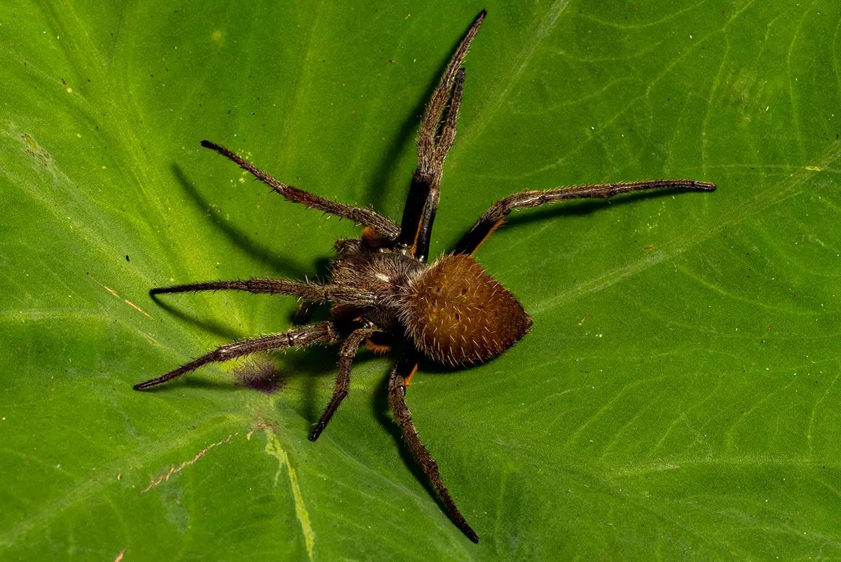 hero background image