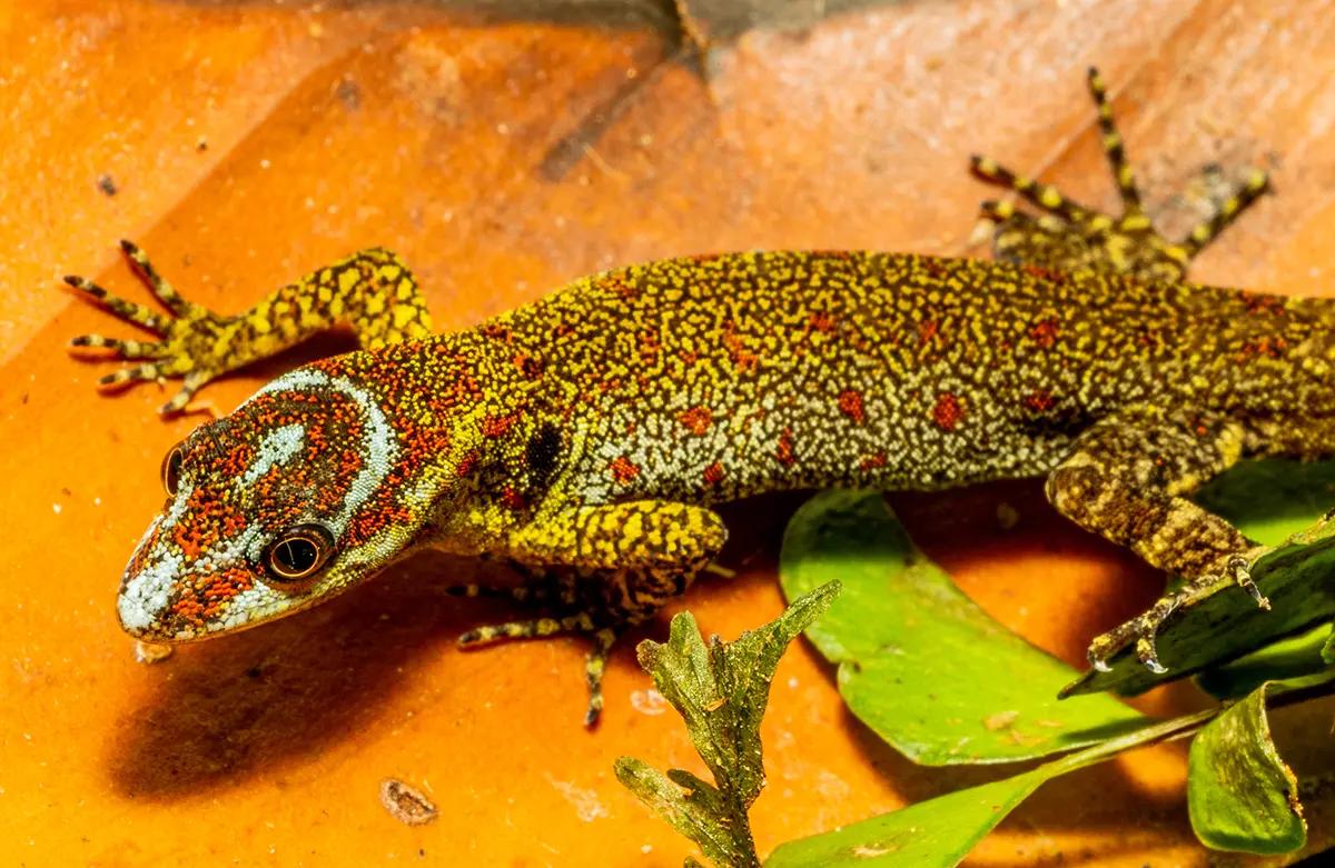 hero background image