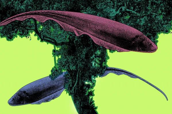 hero background image