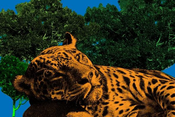 hero background image