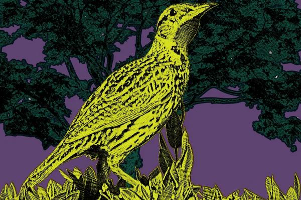 hero background image