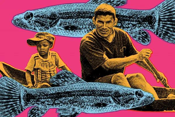 hero background image