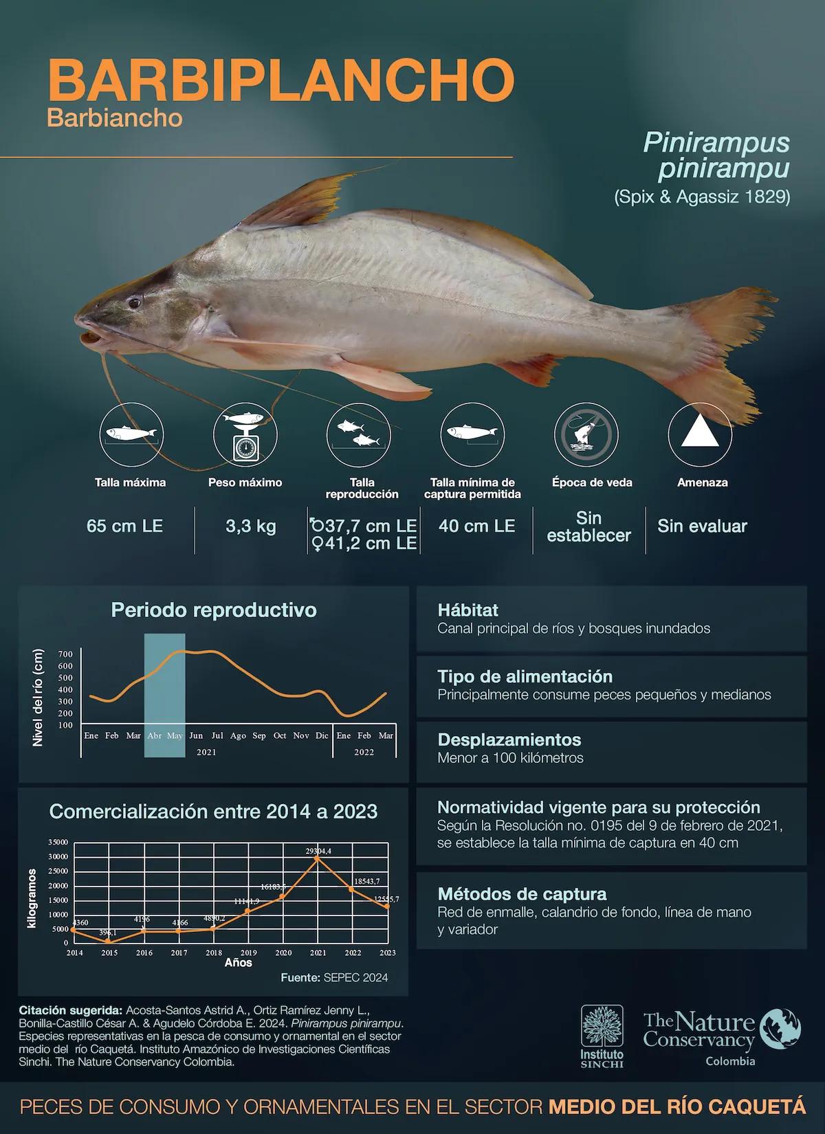 hero background image