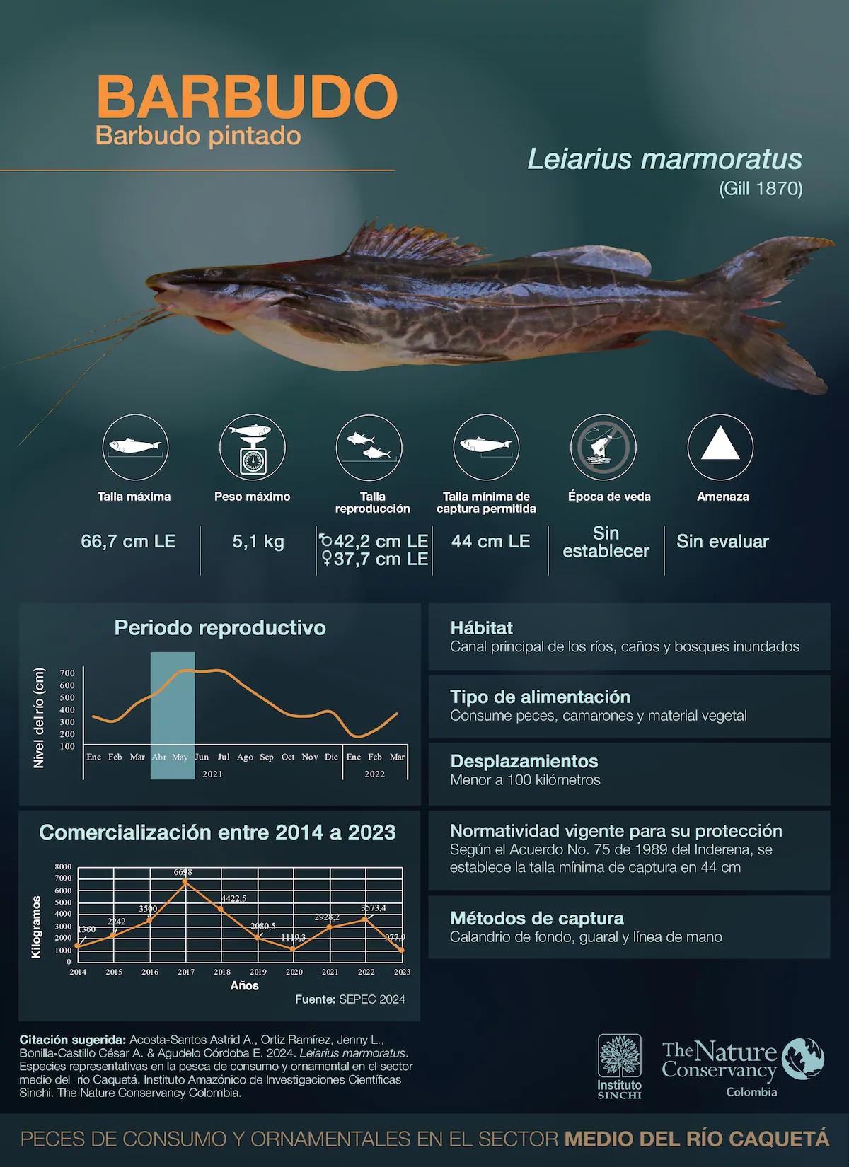 hero background image