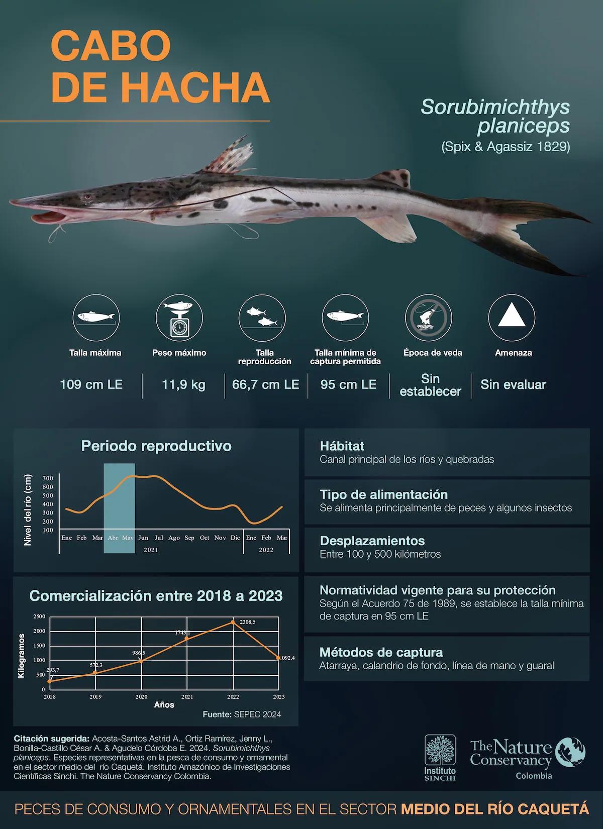 hero background image