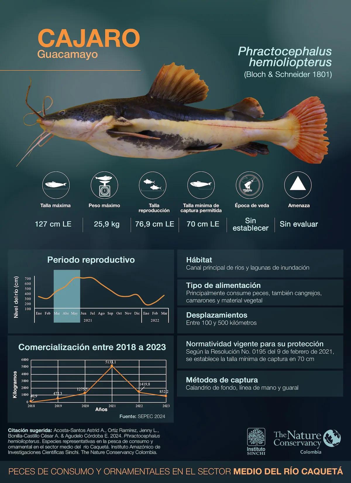 hero background image