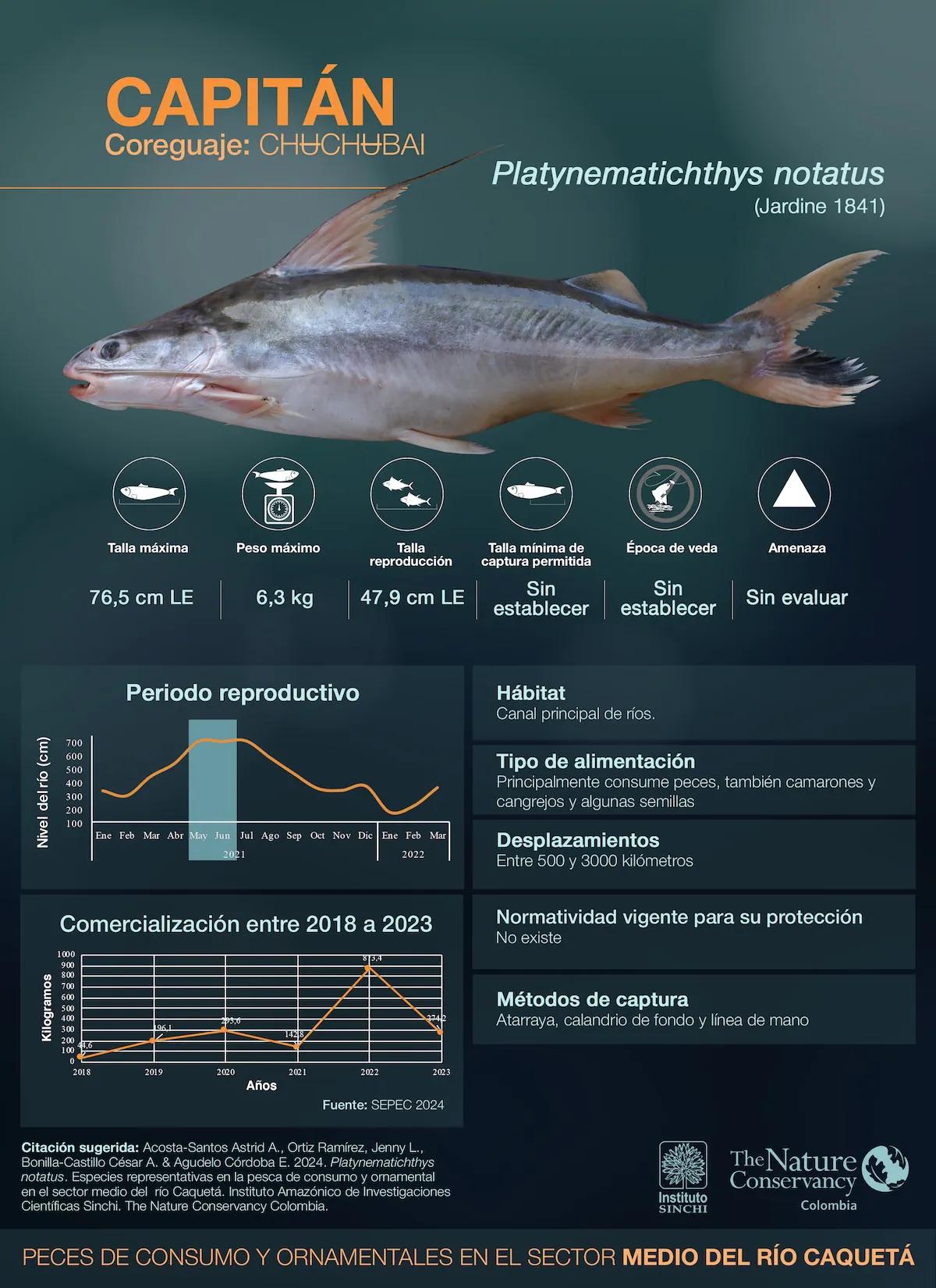 hero background image