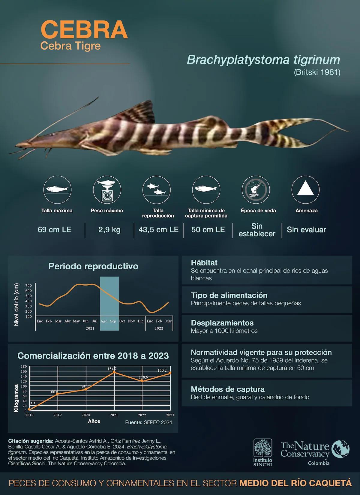 hero background image