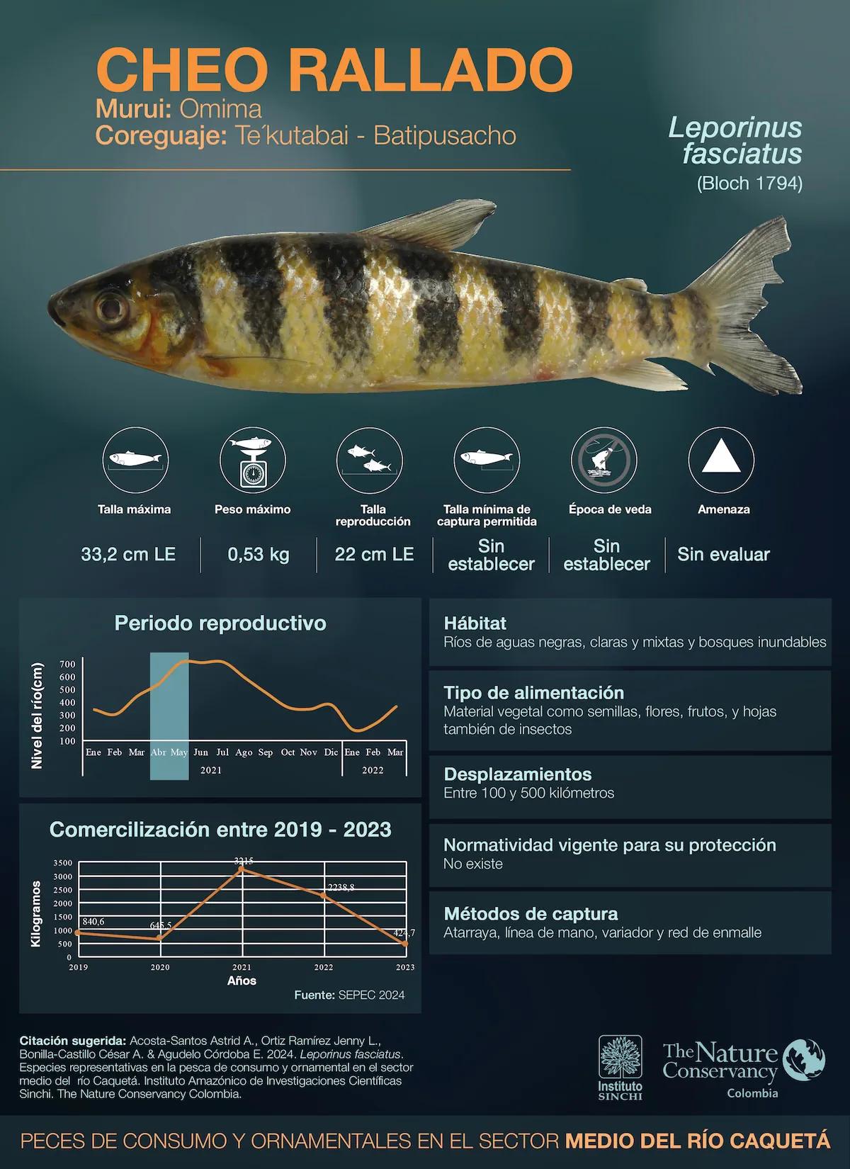 hero background image