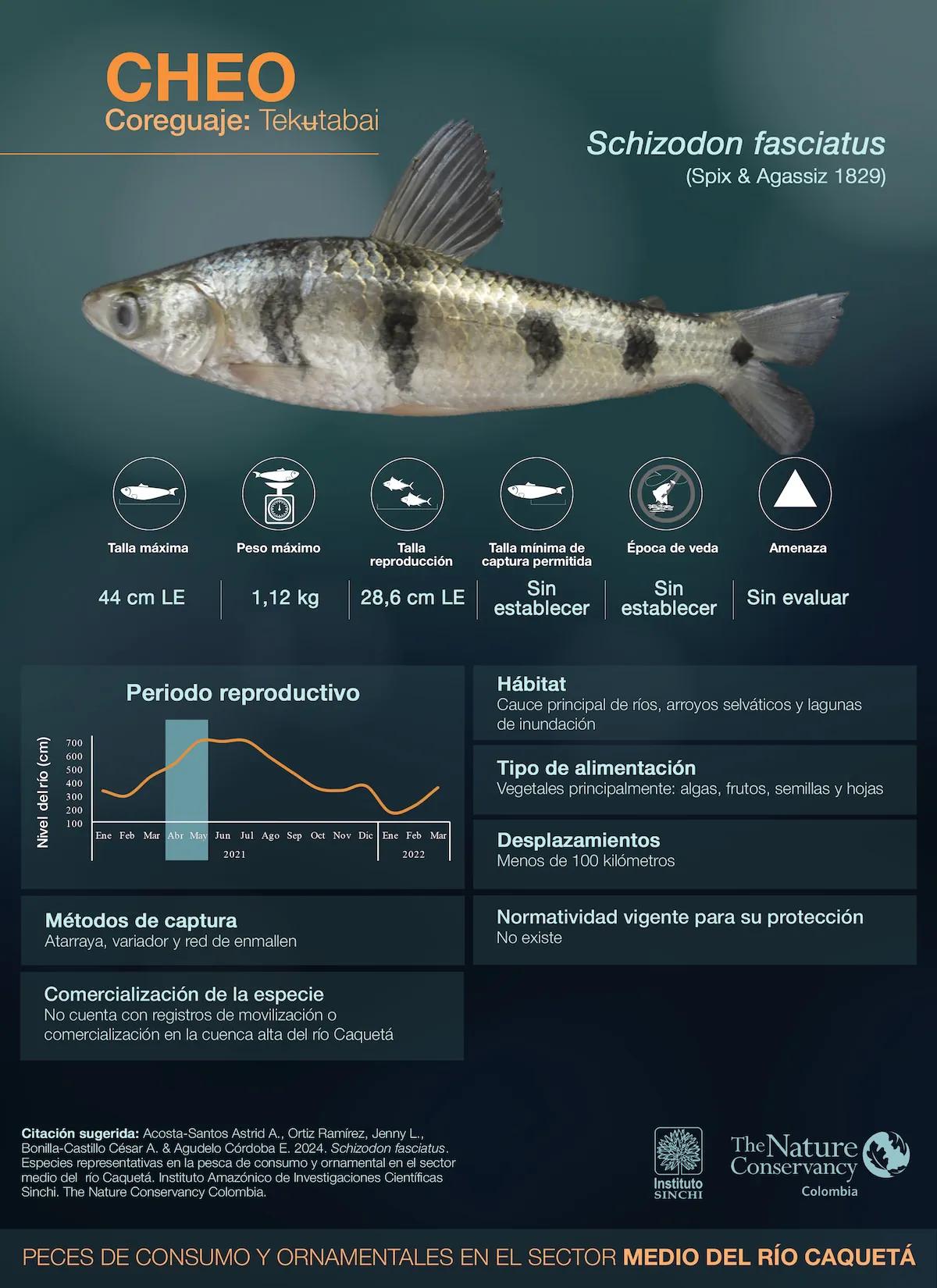 hero background image