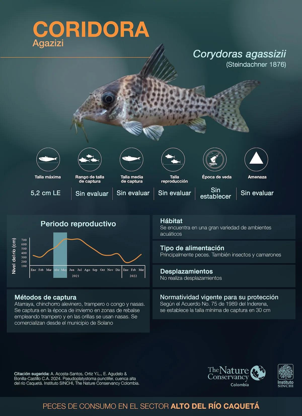 hero background image