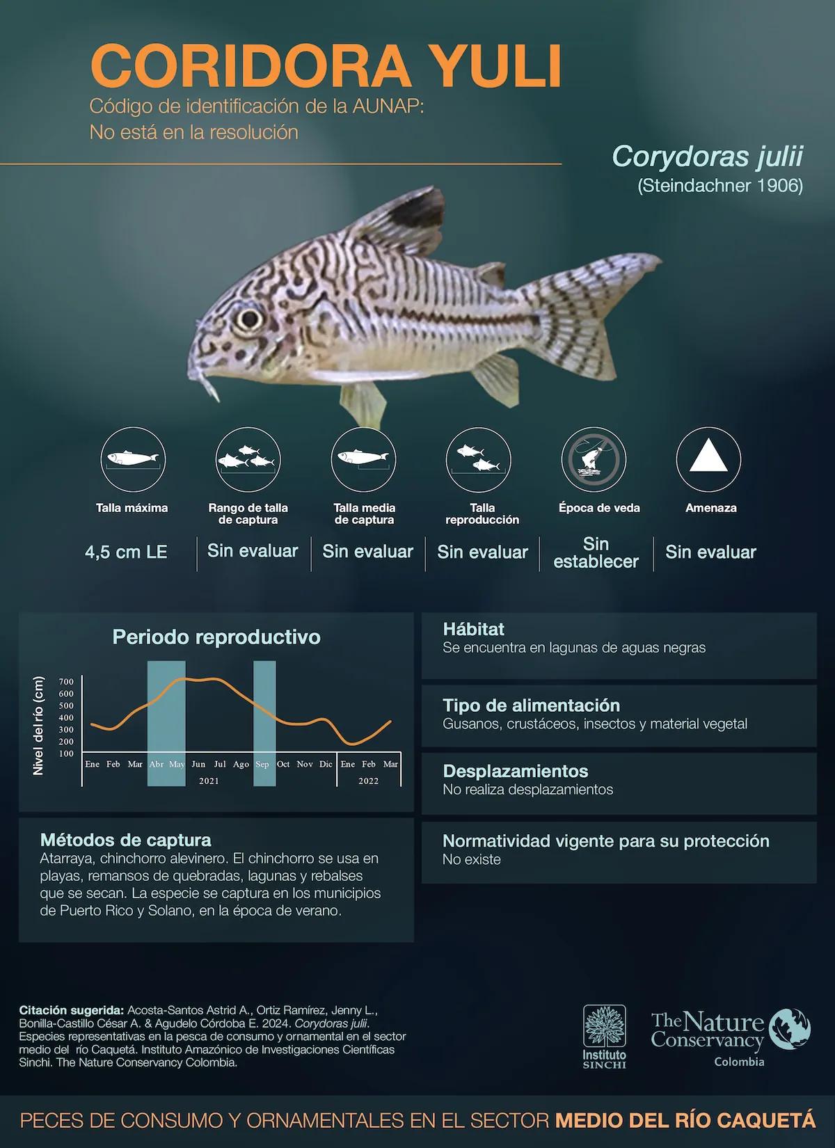 hero background image