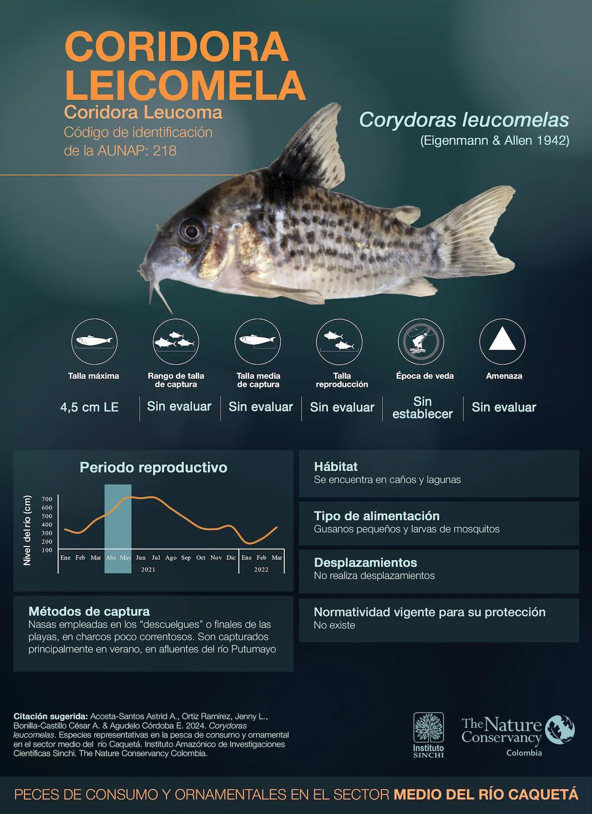 hero background image