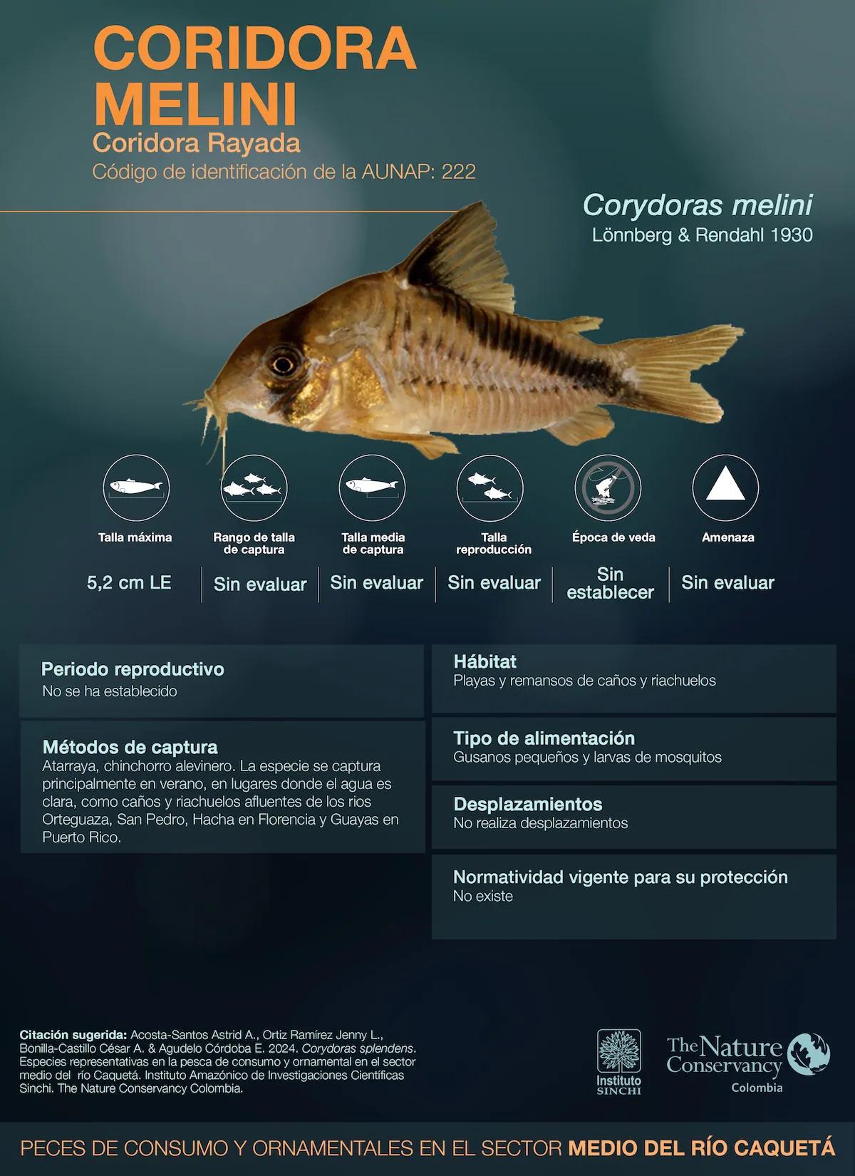 hero background image