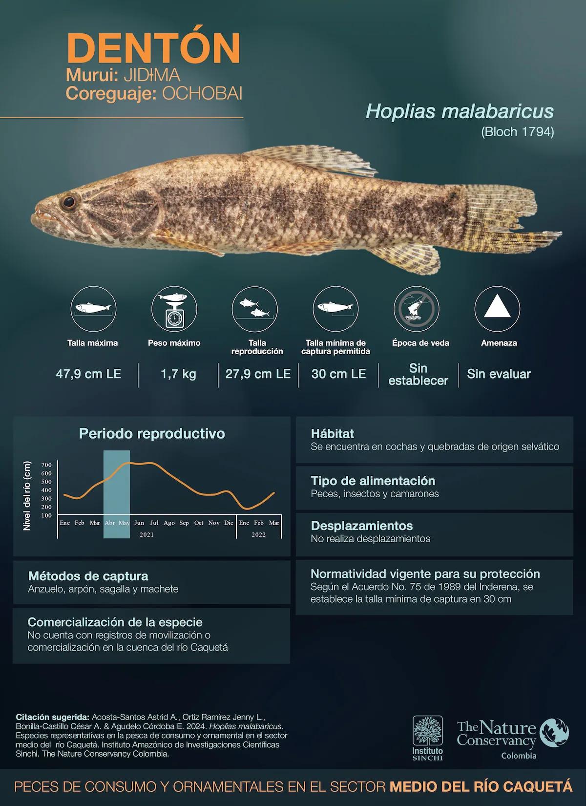 hero background image