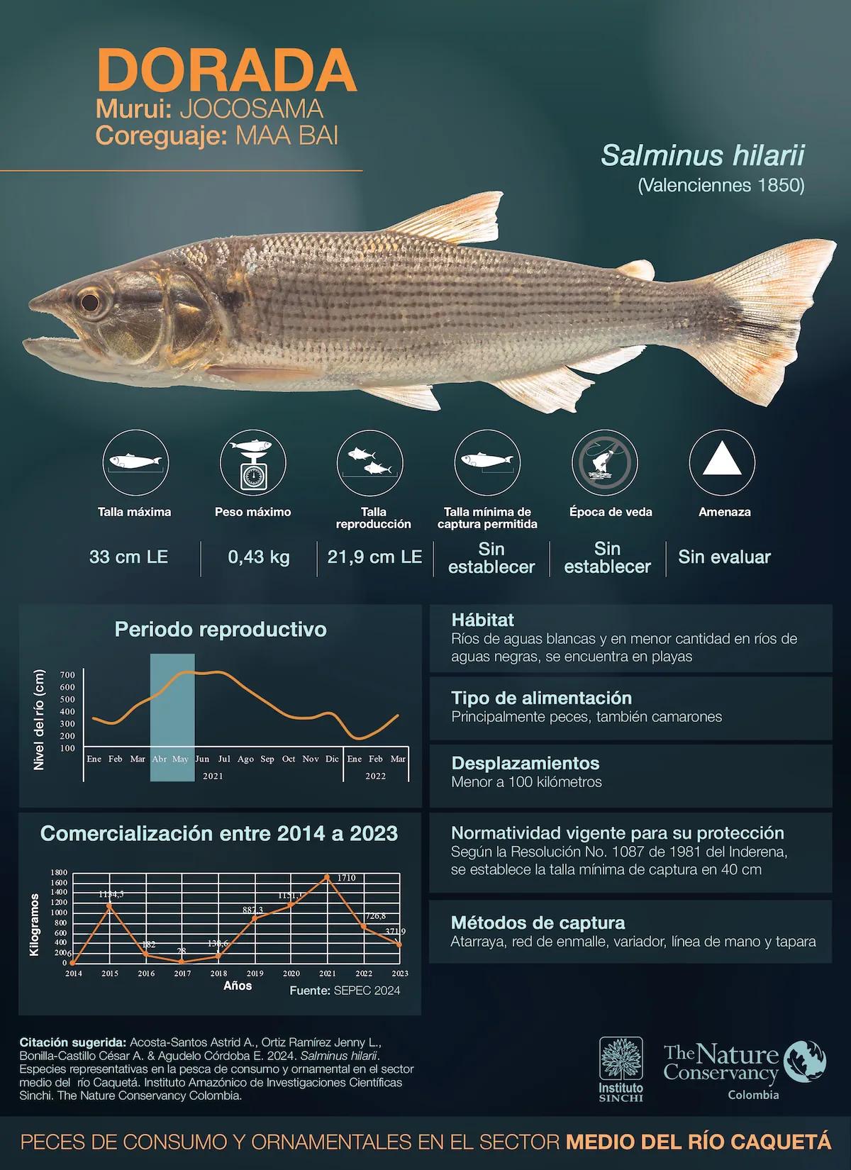 hero background image