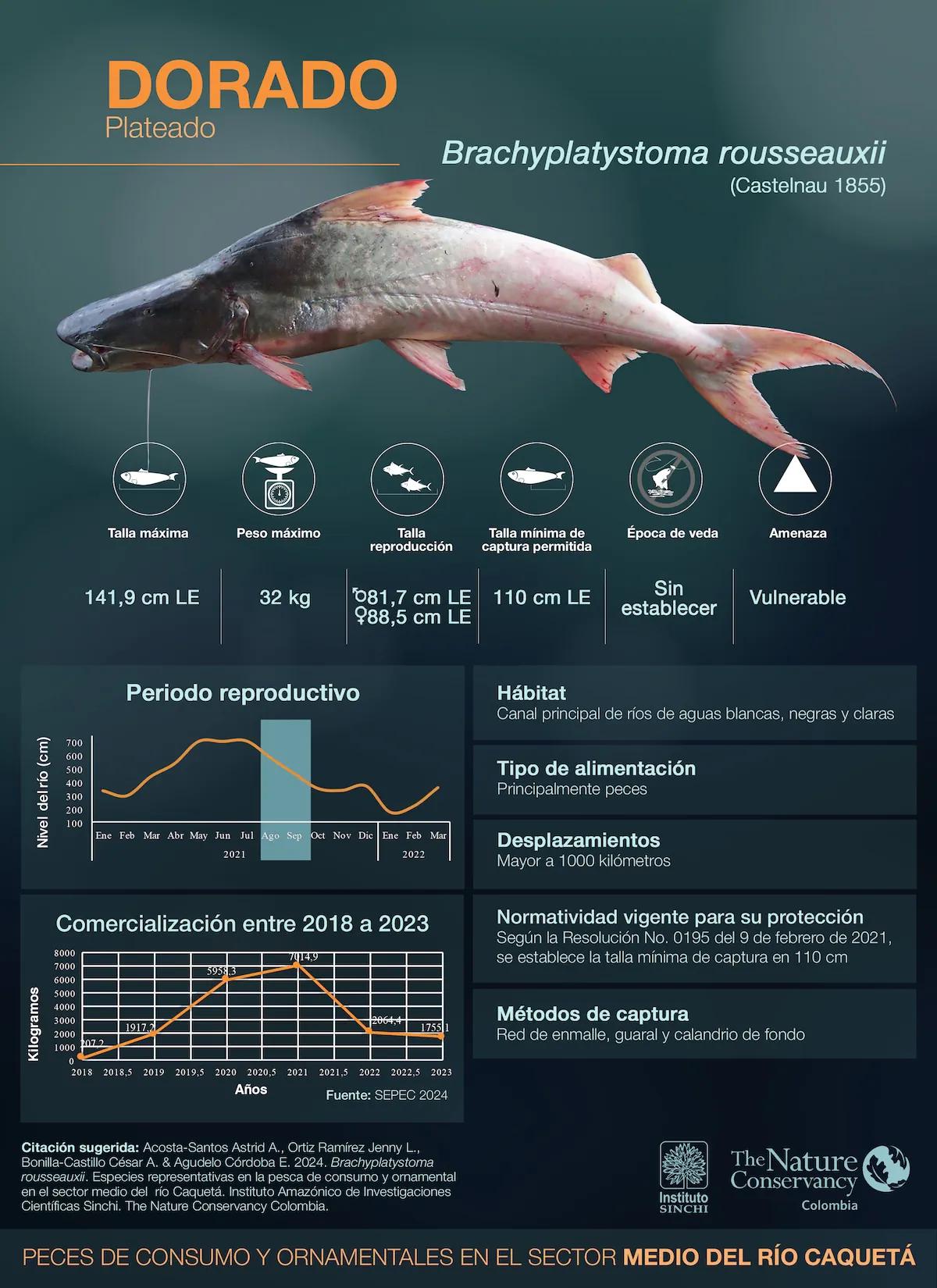 hero background image