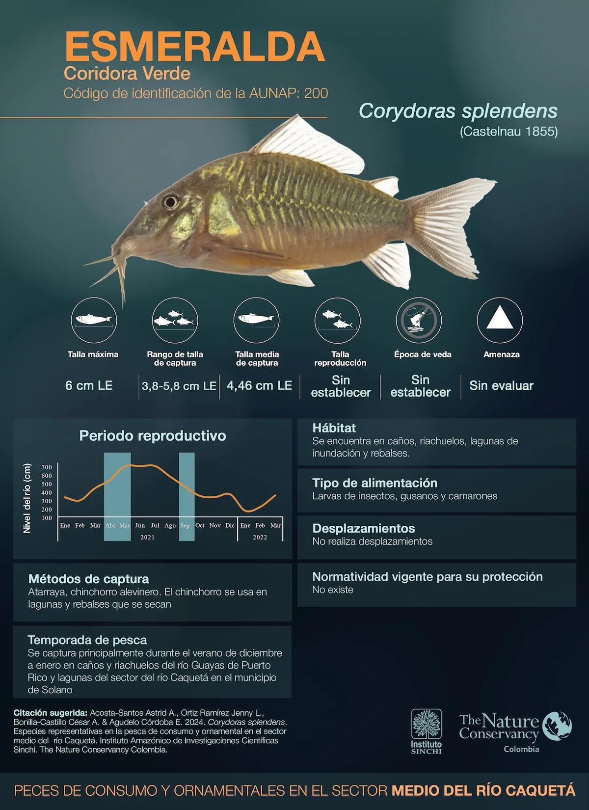 hero background image