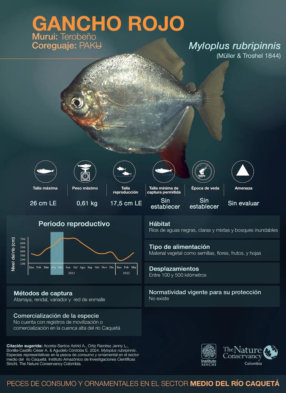 hero background image