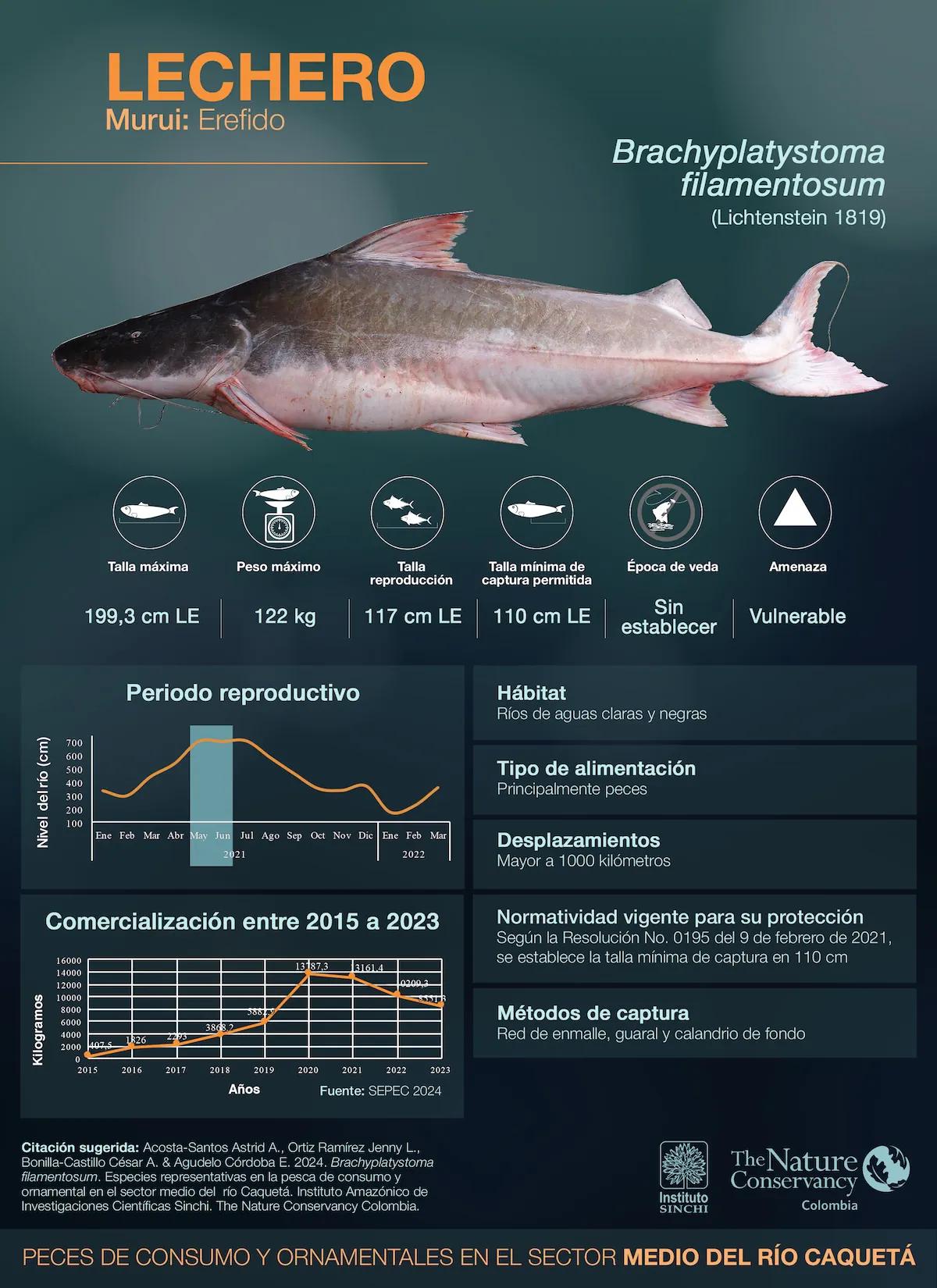 hero background image