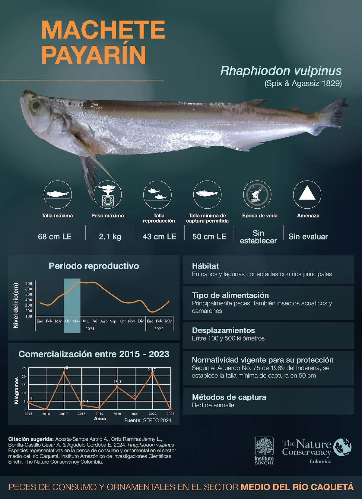 hero background image