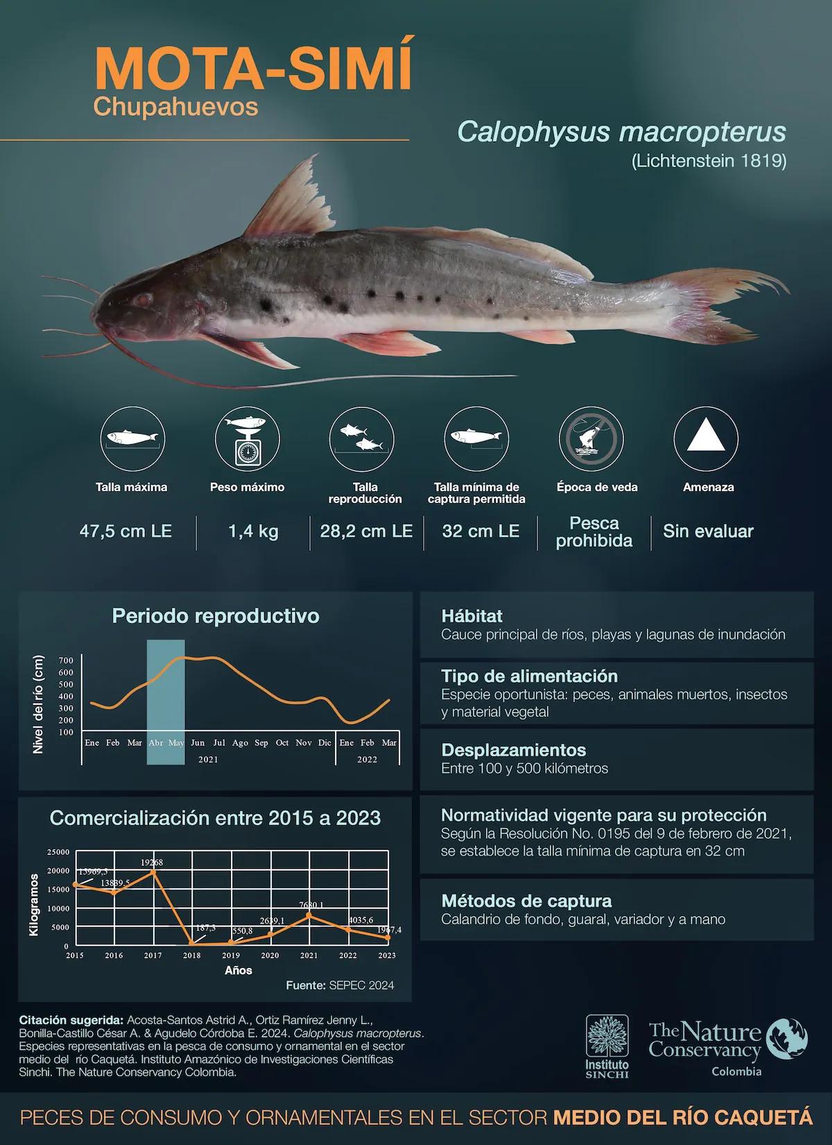 hero background image