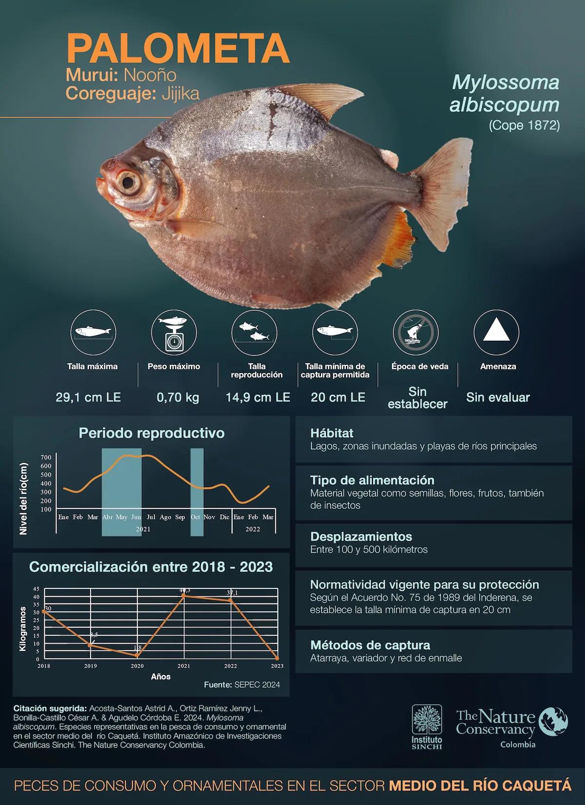 hero background image