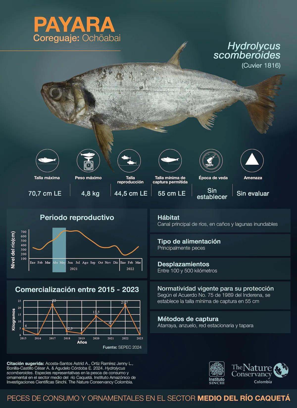 hero background image