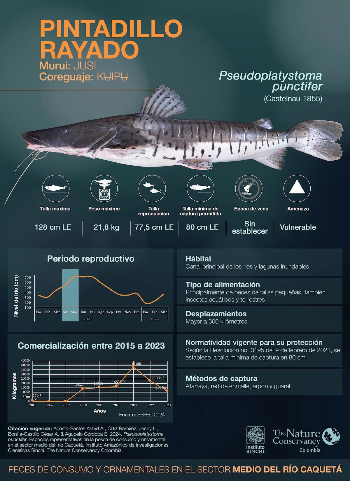 hero background image