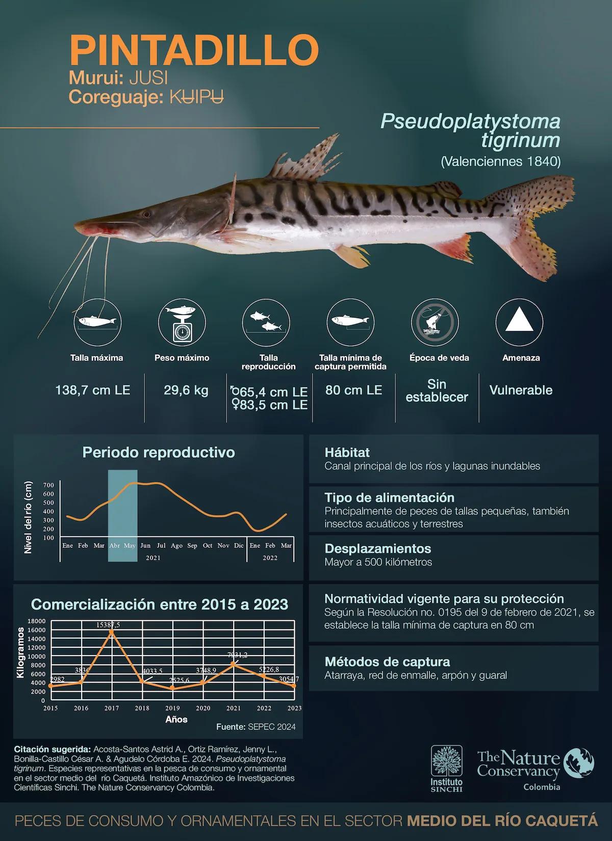 hero background image