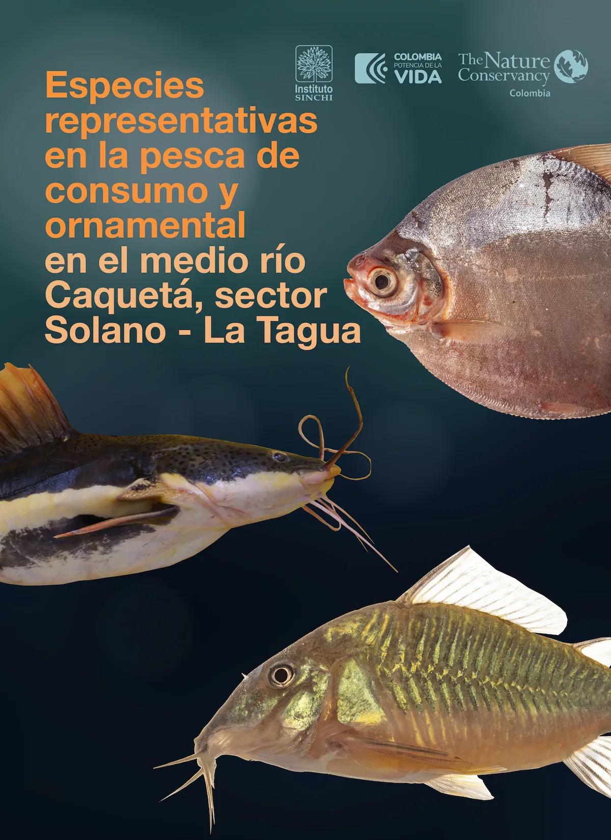 hero background image