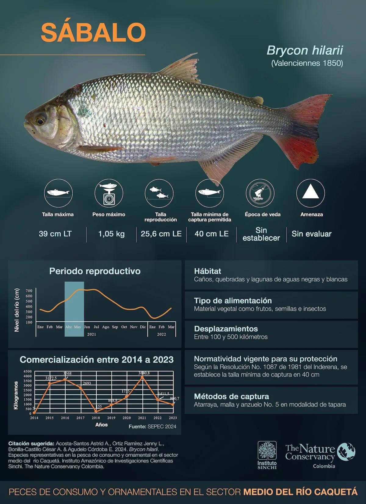 hero background image