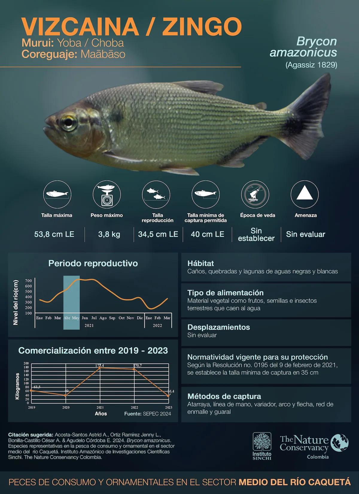 hero background image