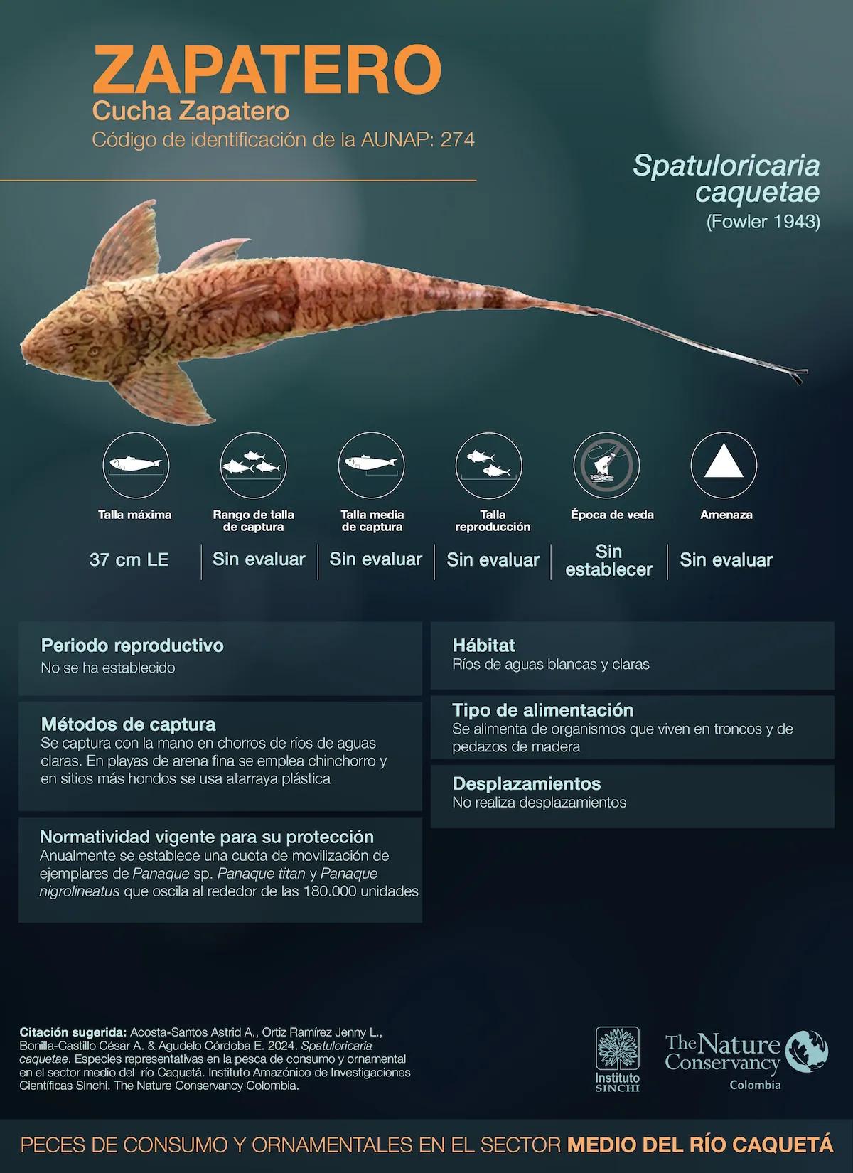 hero background image